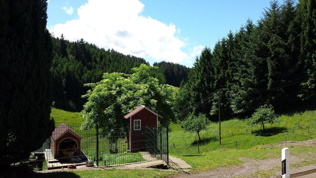 Ferienwohnung Ringwald Biederbach Exterior photo